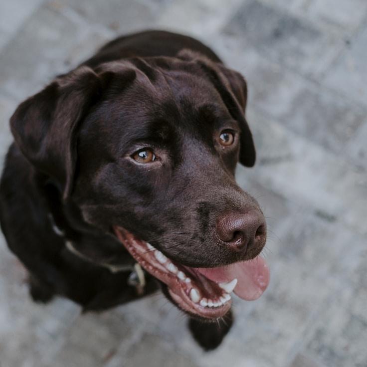 Portrait of Mason Reed, community mentor and Italian cuisine specialist